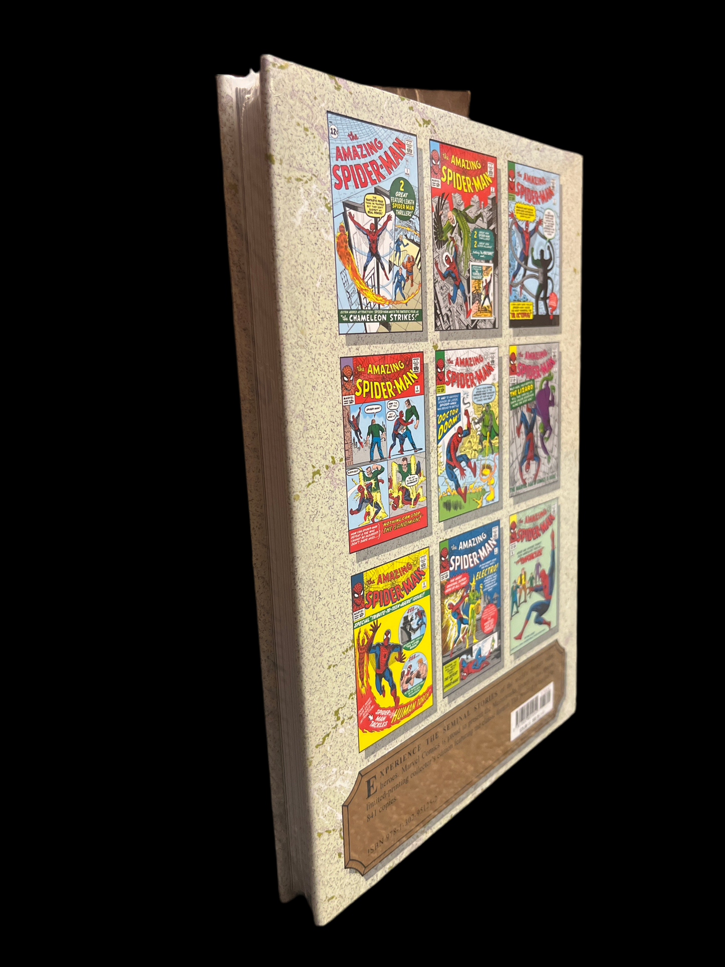 Marvel Masterworks: Vol.1 The Amazing Spider-Man Nos. 1-10 and Amazing Fantasy No. 15 by Stan Lee & Steve Ditko