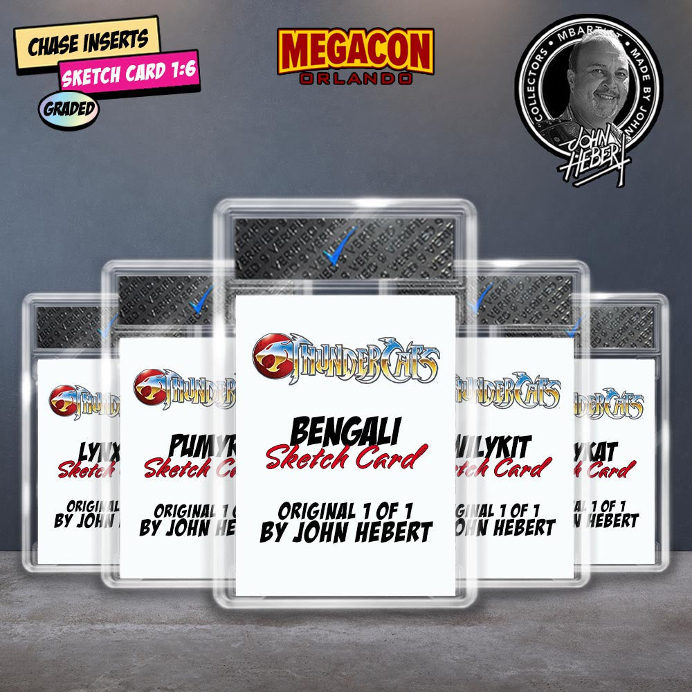 COLLECTOR BOX | THUNDERCATS #3 by John Hebert | Megacon