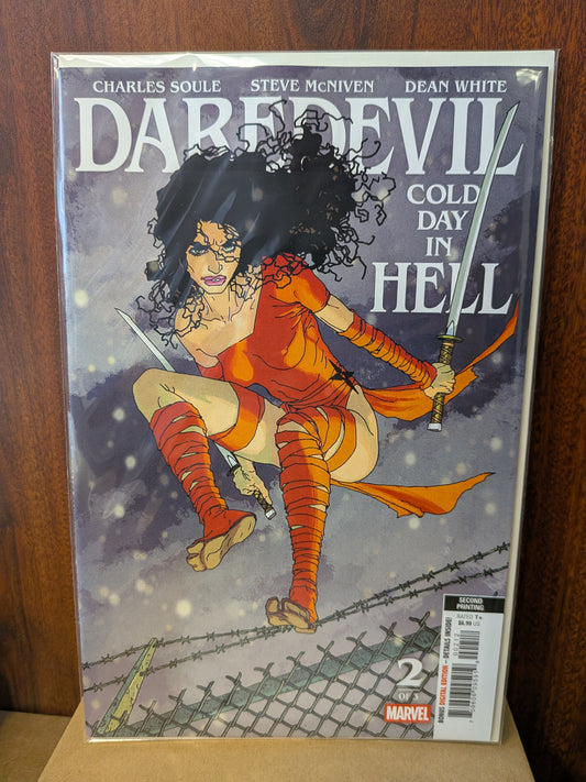 Daredevil: Cold Day in Hell #2 (2nd Print)